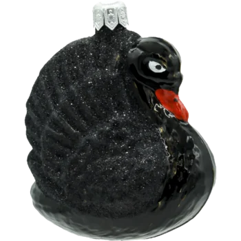 Majestatyczny  Łabędź: czarny