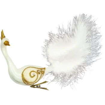 Królewski Paw z piórami: biały