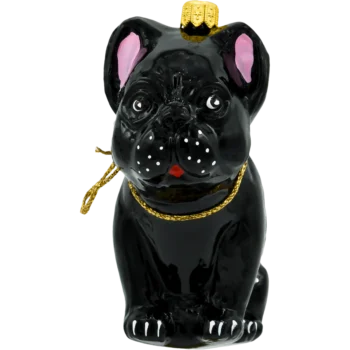 Buldog francuski: czarny
