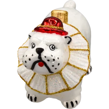 Cyrkowy Buldog: biały