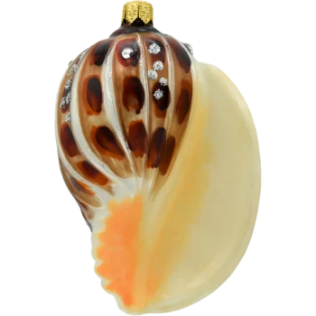Muszla