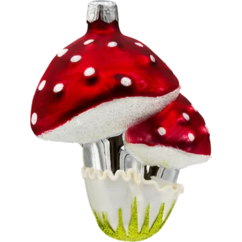 Muchomor czerwony