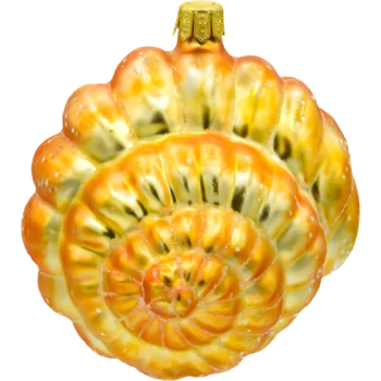 Muszla spiralna