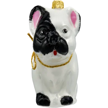 Buldog francuski: biały