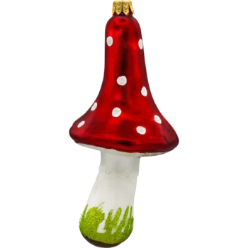 Muchomor długi