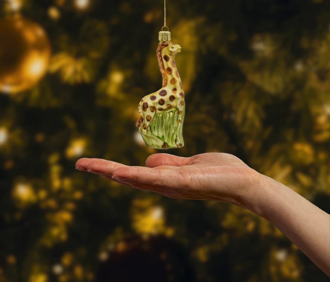 Żyrafa realne zdjęcie