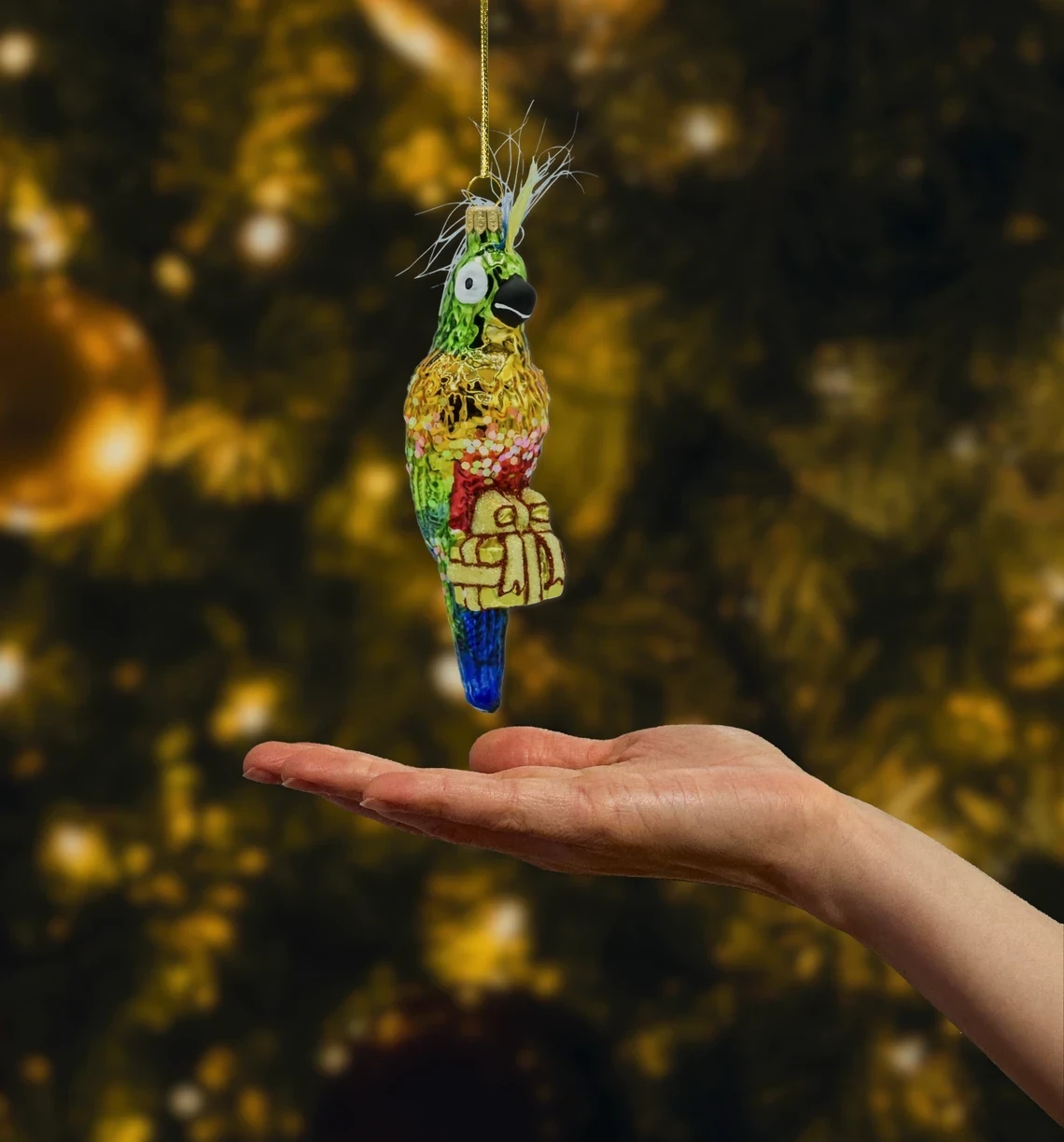 Papuga z prezentem realne zdjęcie