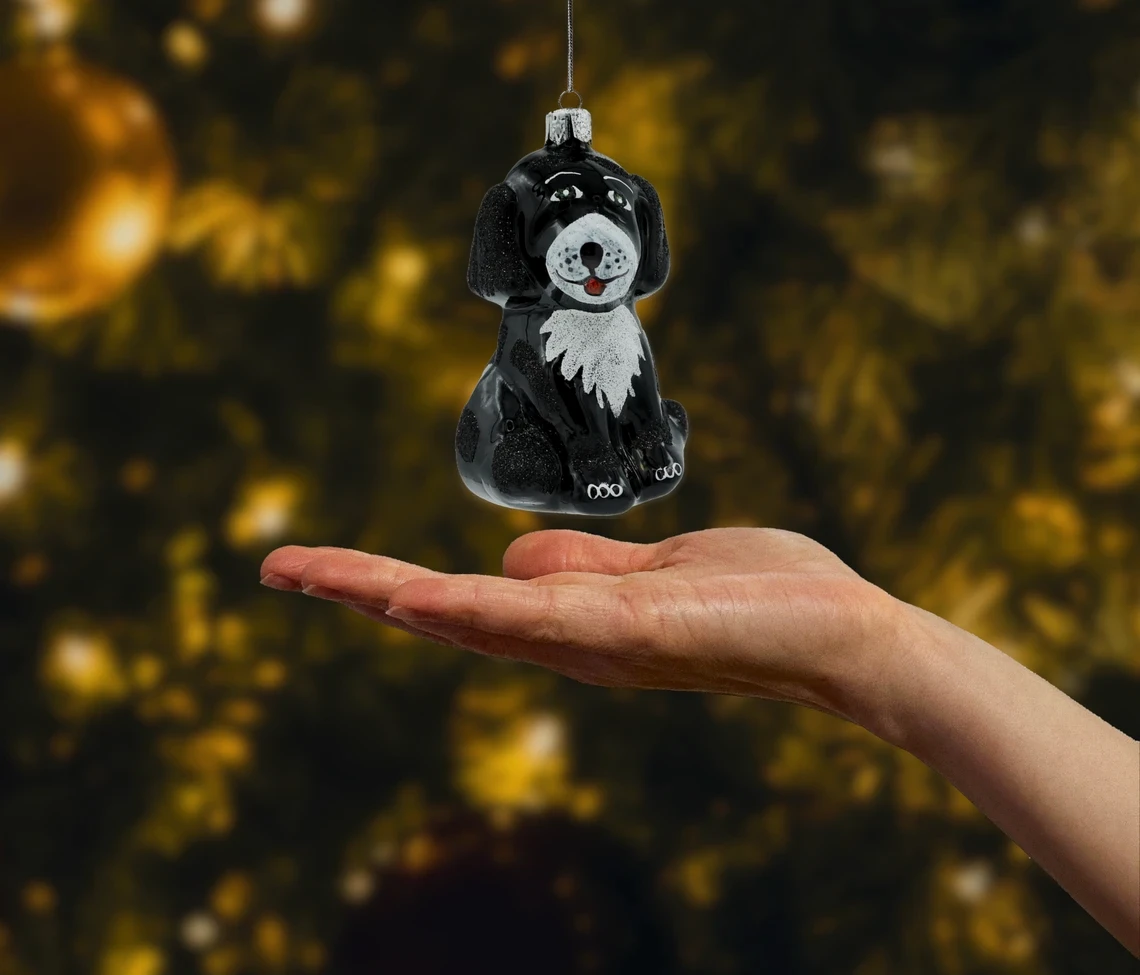 Piesek z białą łatką: czarny realne zdjęcie