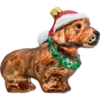 Brązowy